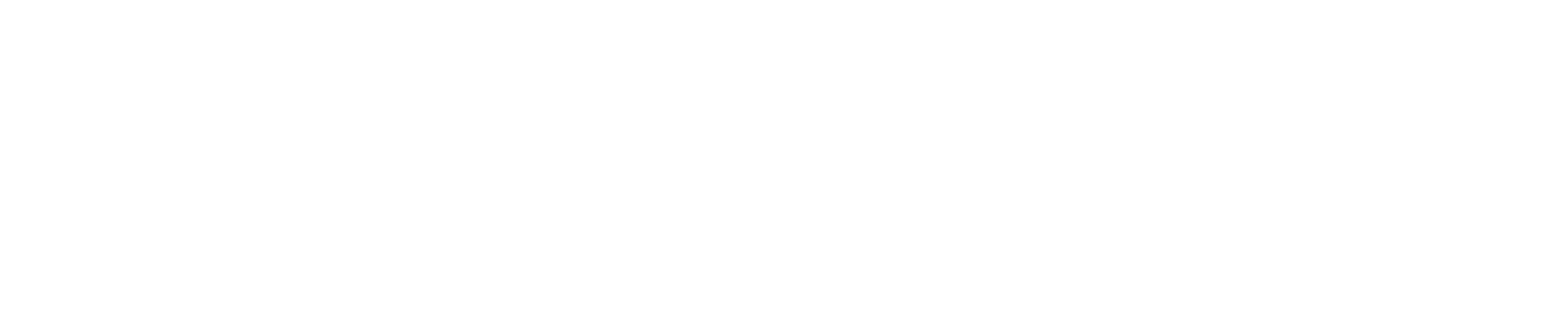 Login Window